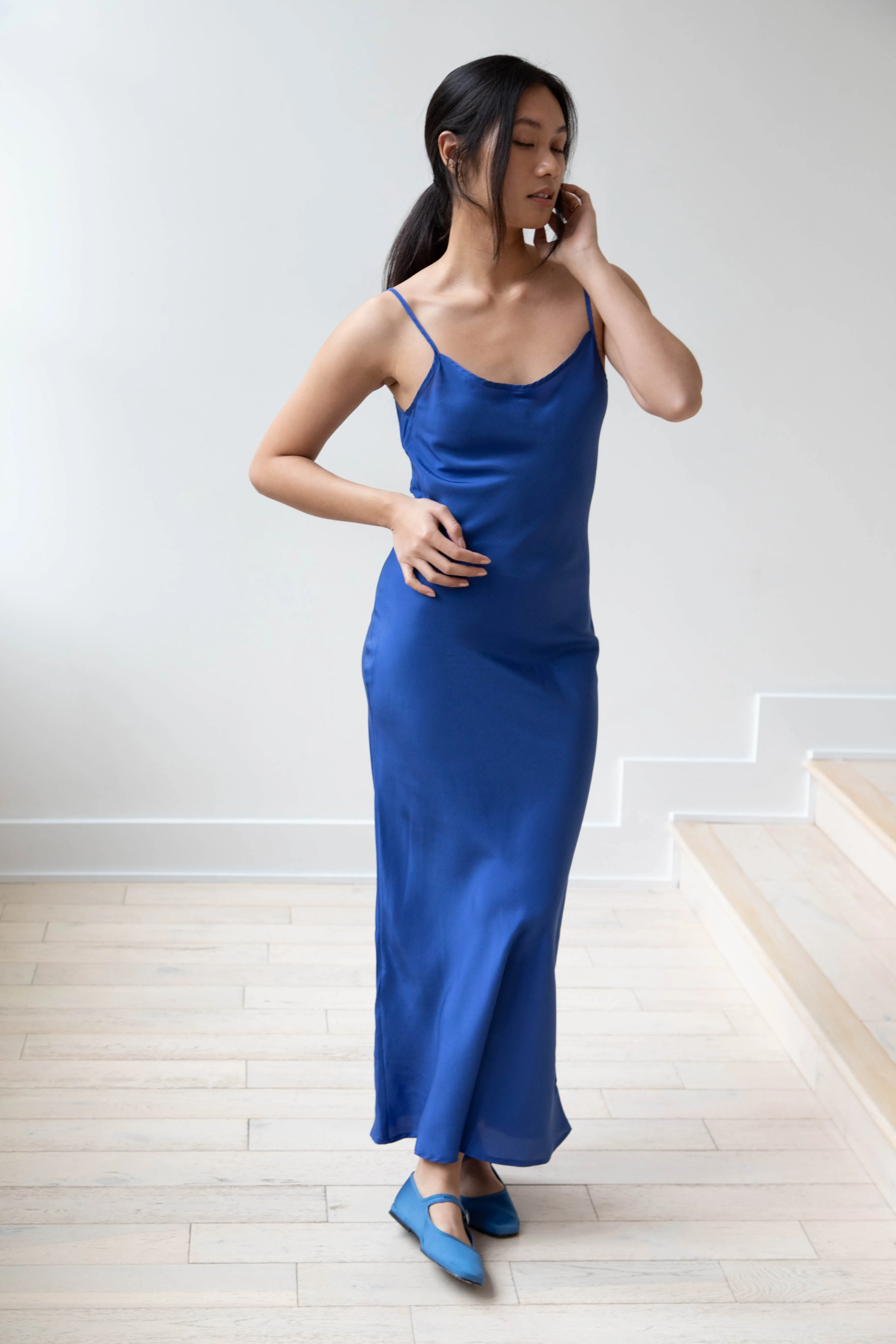 Barena Venezia | Aga Dress in Victoria Blue Silk