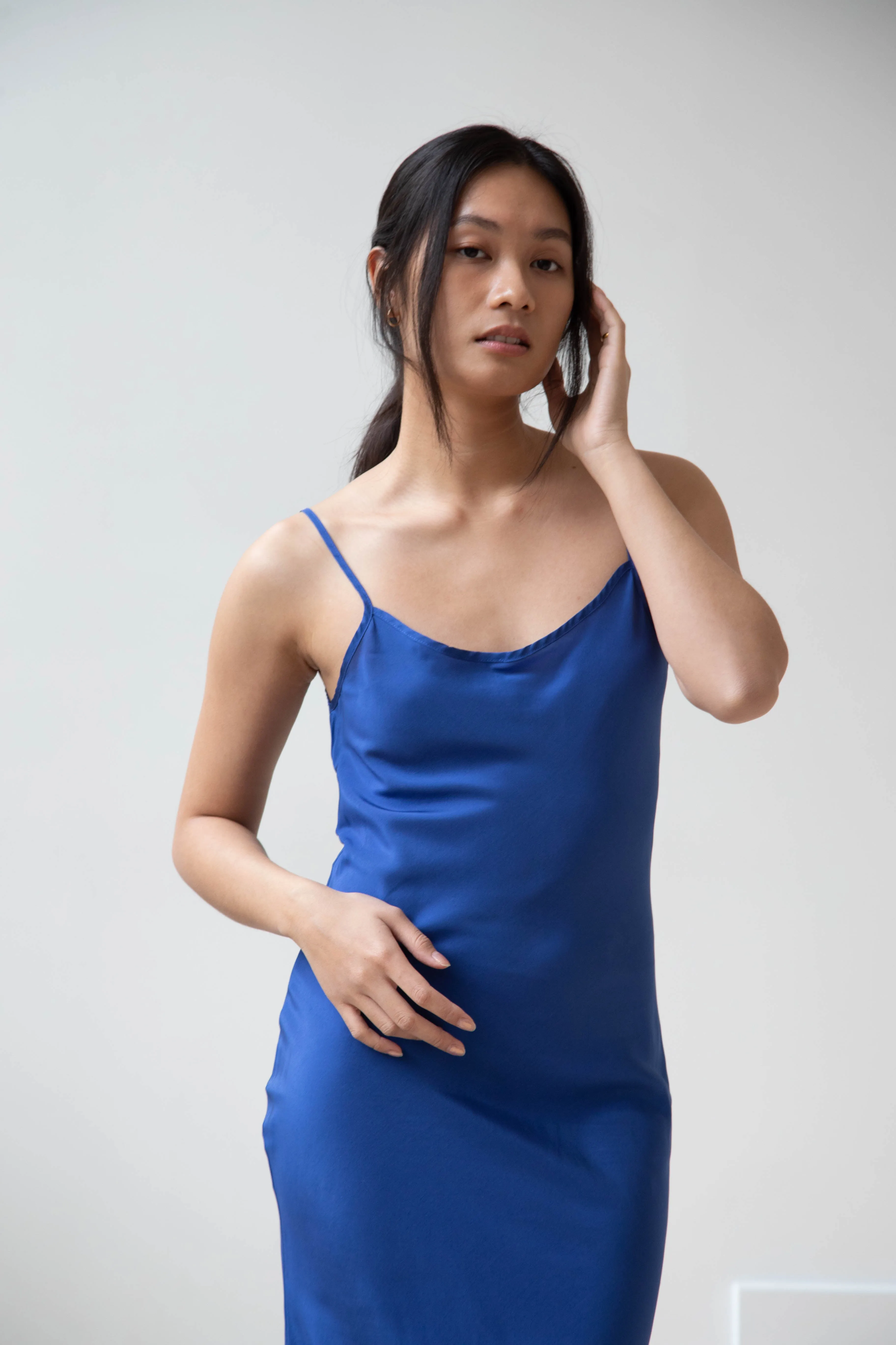 Barena Venezia | Aga Dress in Victoria Blue Silk