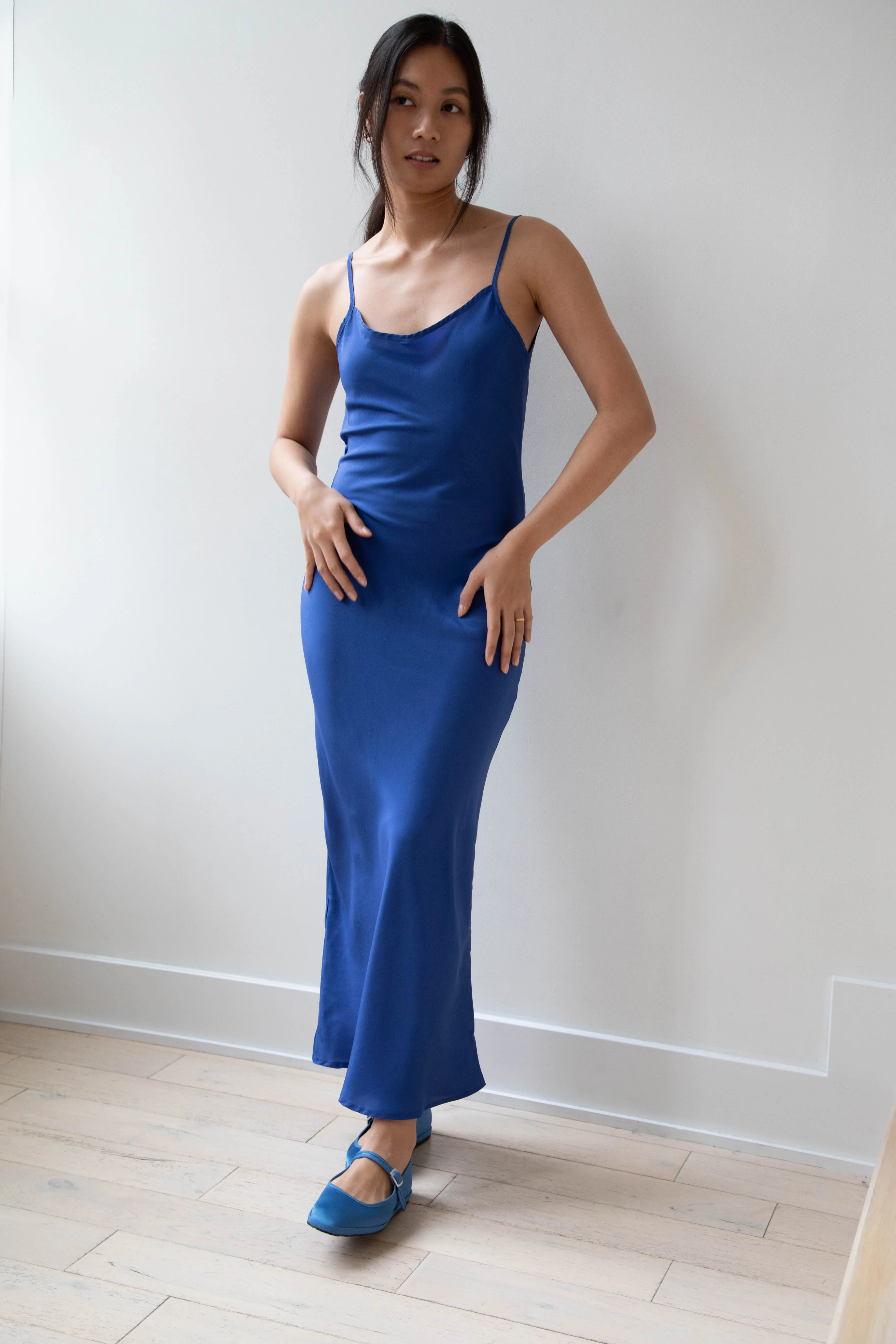 Barena Venezia | Aga Dress in Victoria Blue Silk