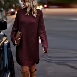 Chunky Turtleneck Sweater Dress II