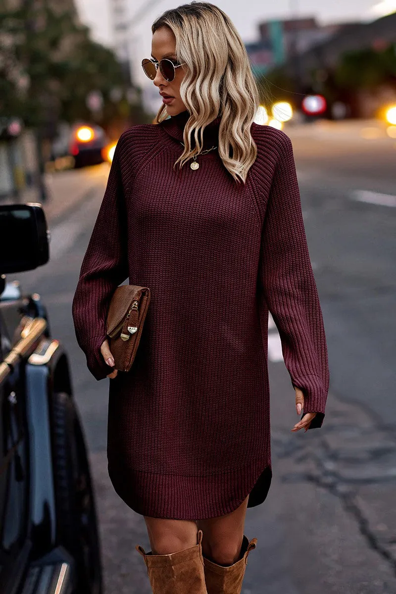 Chunky Turtleneck Sweater Dress II