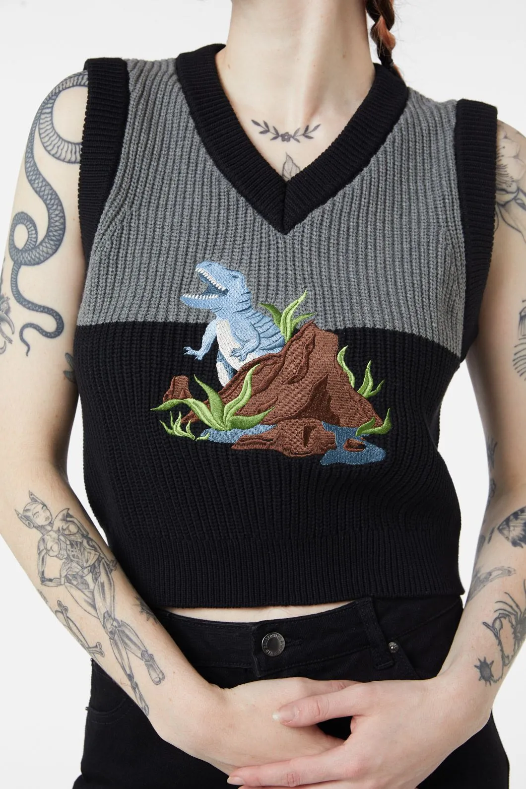 Dinosaur Contrast Knit Vest