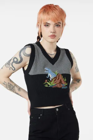 Dinosaur Contrast Knit Vest