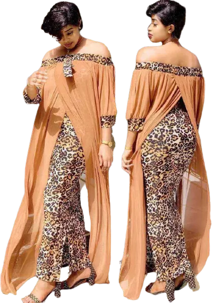 Josy 2 in 1 Leopard Maxi Print Dress