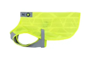 RC Pets Luna Hi-Vis Vest