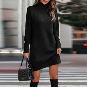 Turtleneck Cozy Sweater Dress